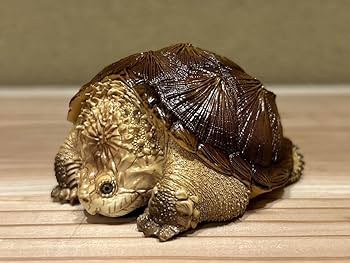 Amazon.co.jp: カミツキガメ（ハイポ）フィギュア 巨頭 爬虫類
